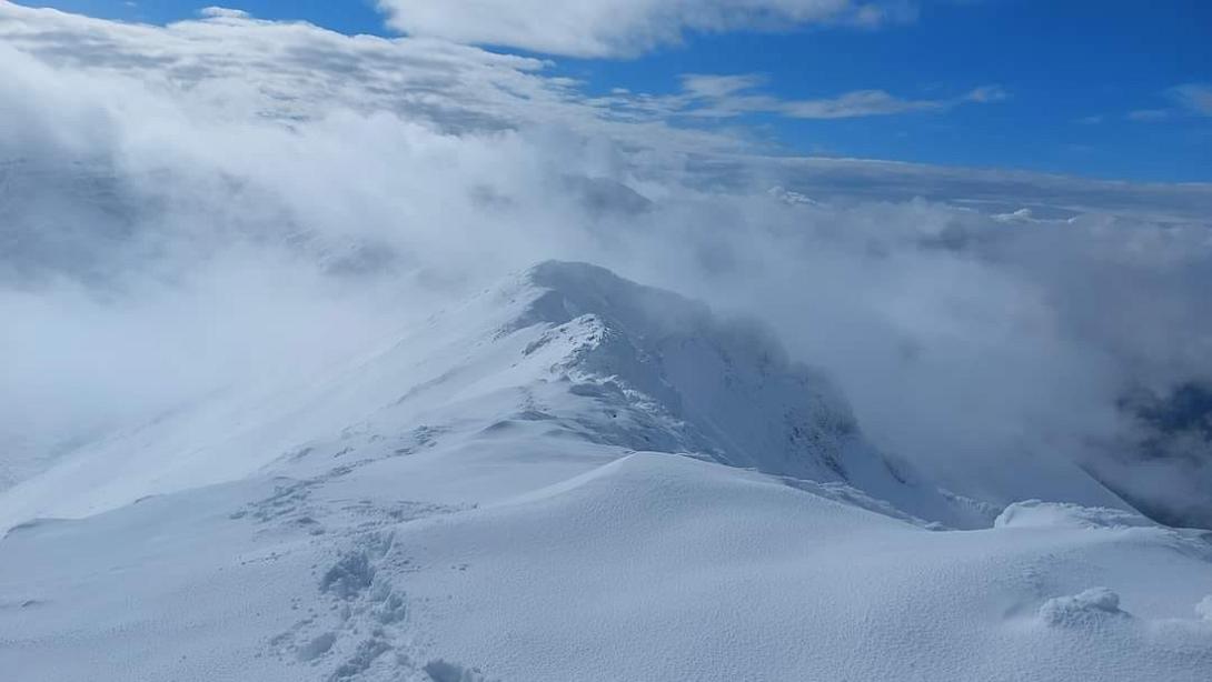 κορυφησπαθί-Μπάμπης Φαλαγαρας