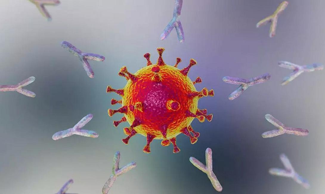 μονοκλωνικά αντισώματα