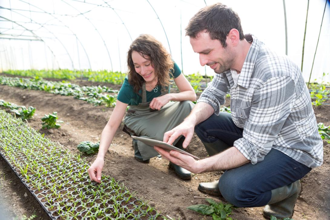 Νέοι αγρότες