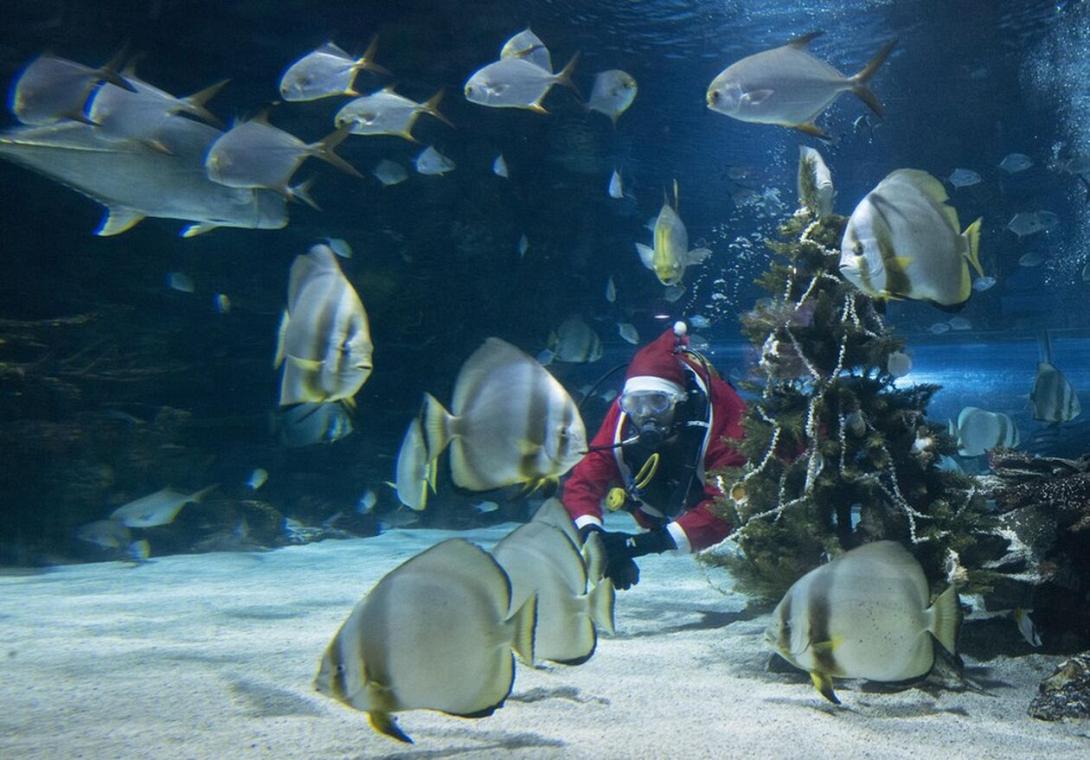 Βουδαπέστη, Ουγγαρία