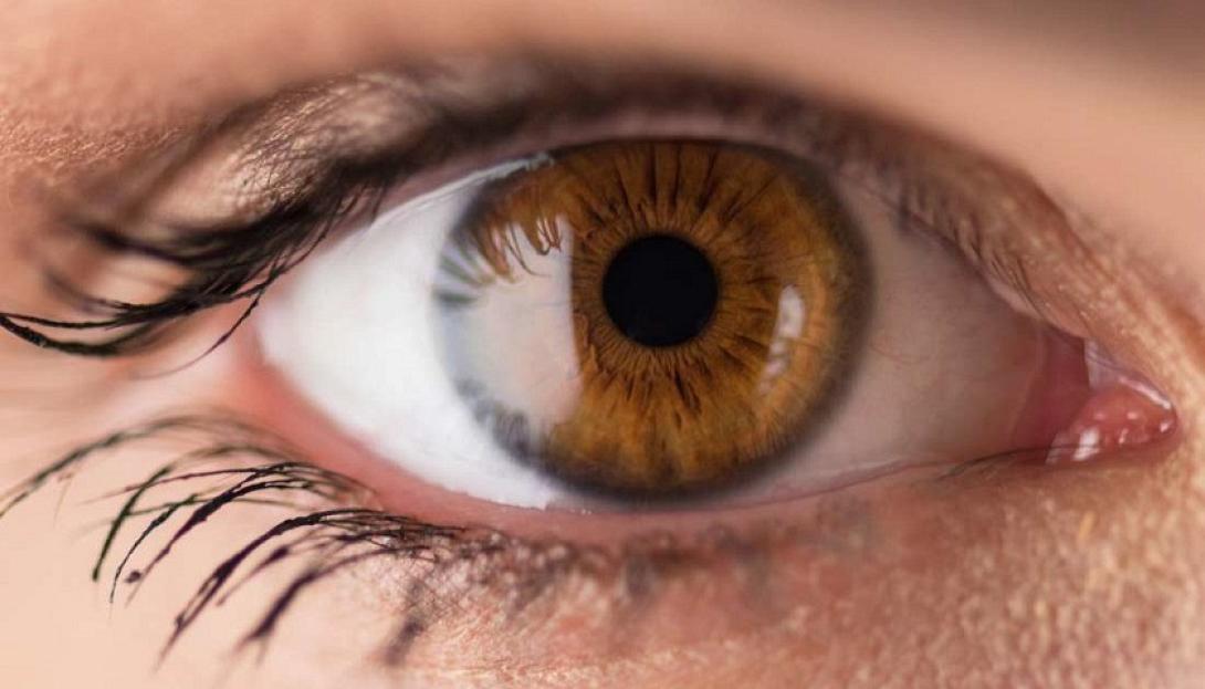 Καστανά μάτια