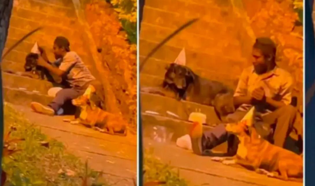 γενέθλια - σκύλος