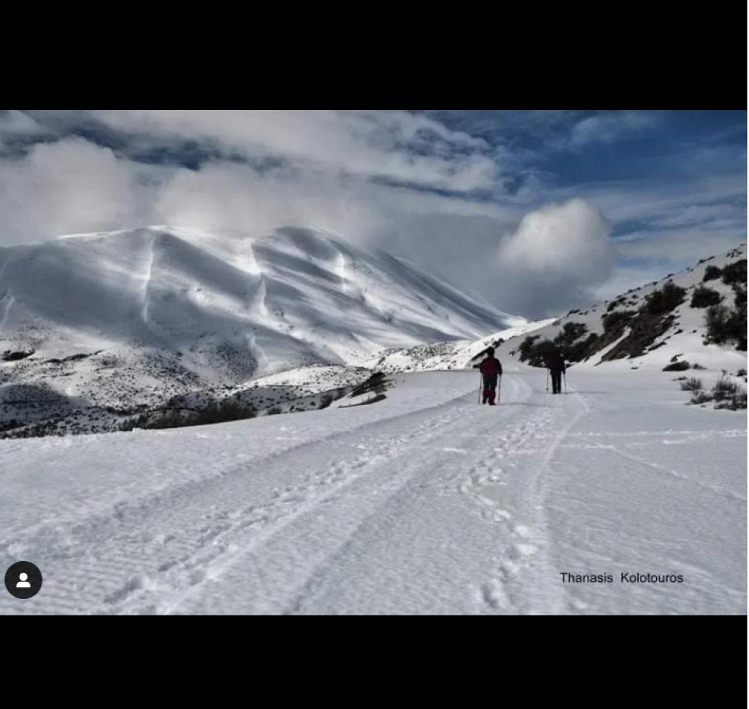 Ψηλορείτης