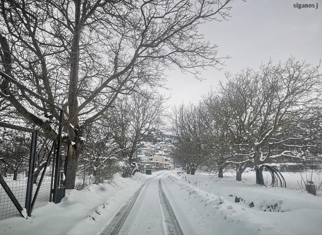 Φωτογραφία με χιόνια από το Οροπέδιο Λασιθίου