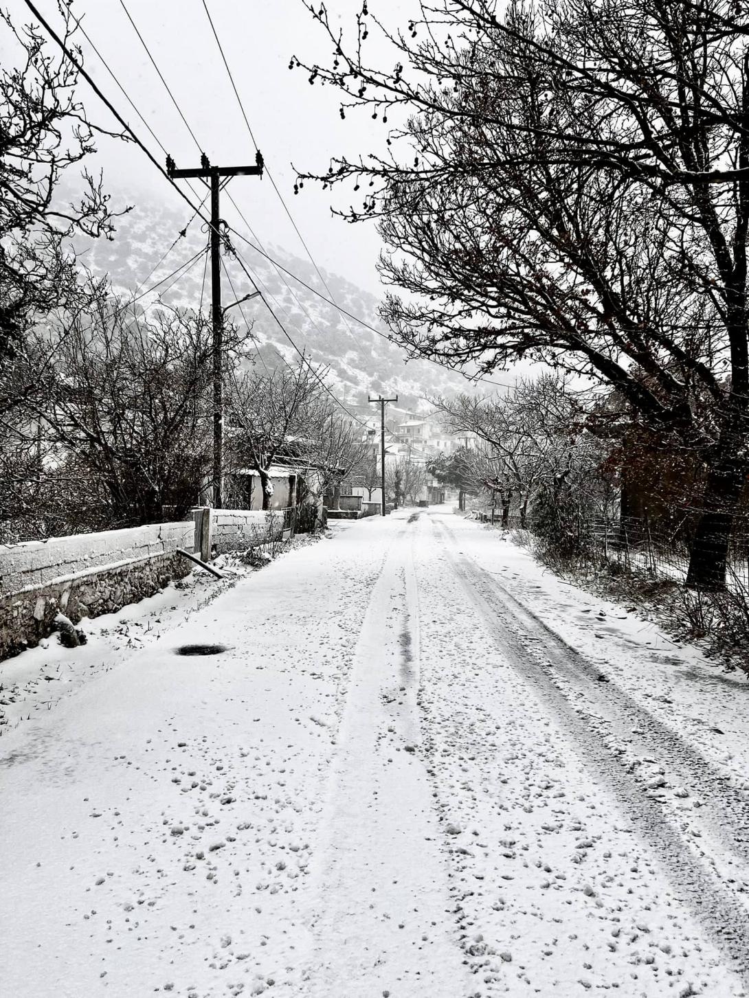 Γιώργος Βενιζέλελος Αλεβιζάκης