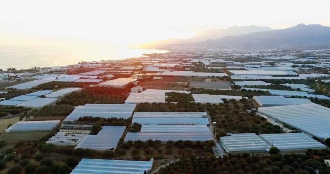 θερμοκήπια ιεράπετρα