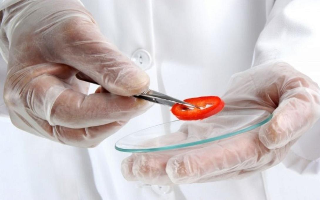 Ποια τρόφιμα "κουβαλούν" σαρμονέλα 