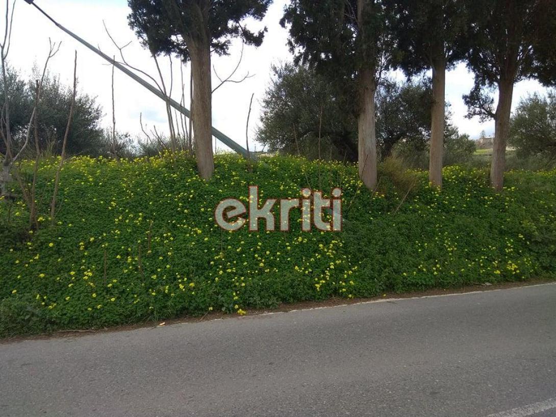 έπεσε πυλώνας φωτισμού μέσα σε χωράφι 