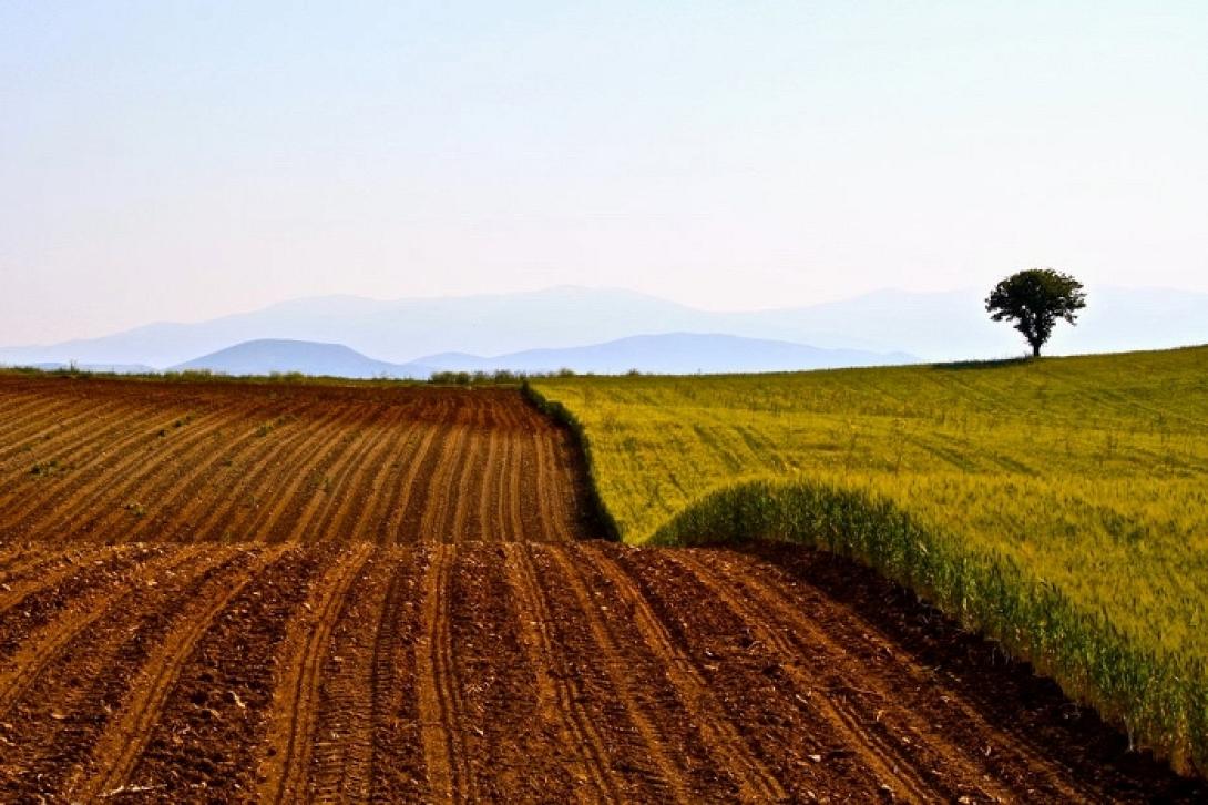 μείωση γονιμότητας