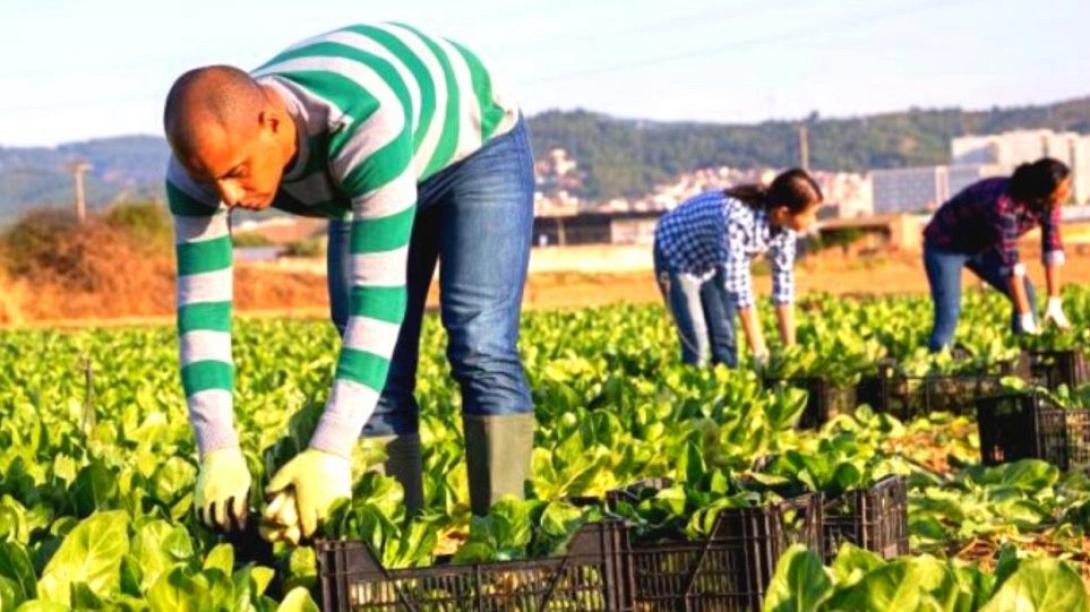 Καινοτομία και πράσινη μετάβαση στη μεταποίηση αγροτικών προιόντων 