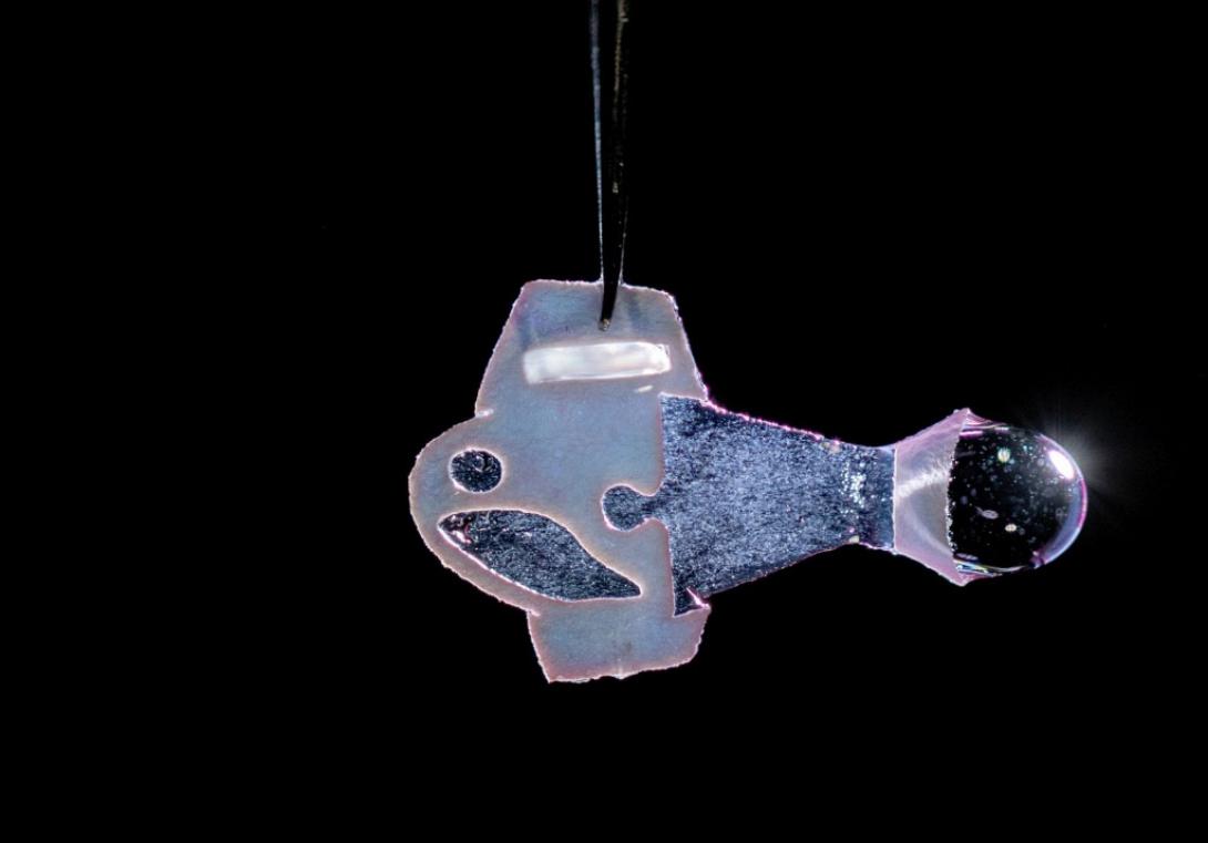 πλαστικό ψάρι