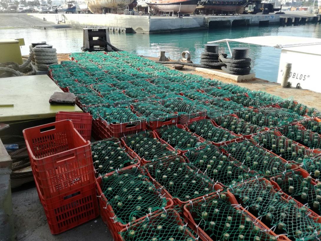 κρασί - φιάλες - ΕΑΣΗ