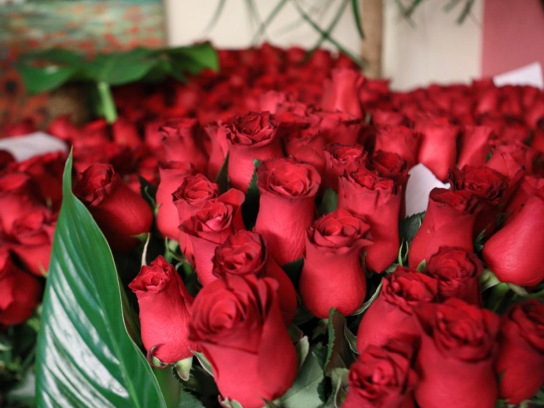 τριαντάφυλλα