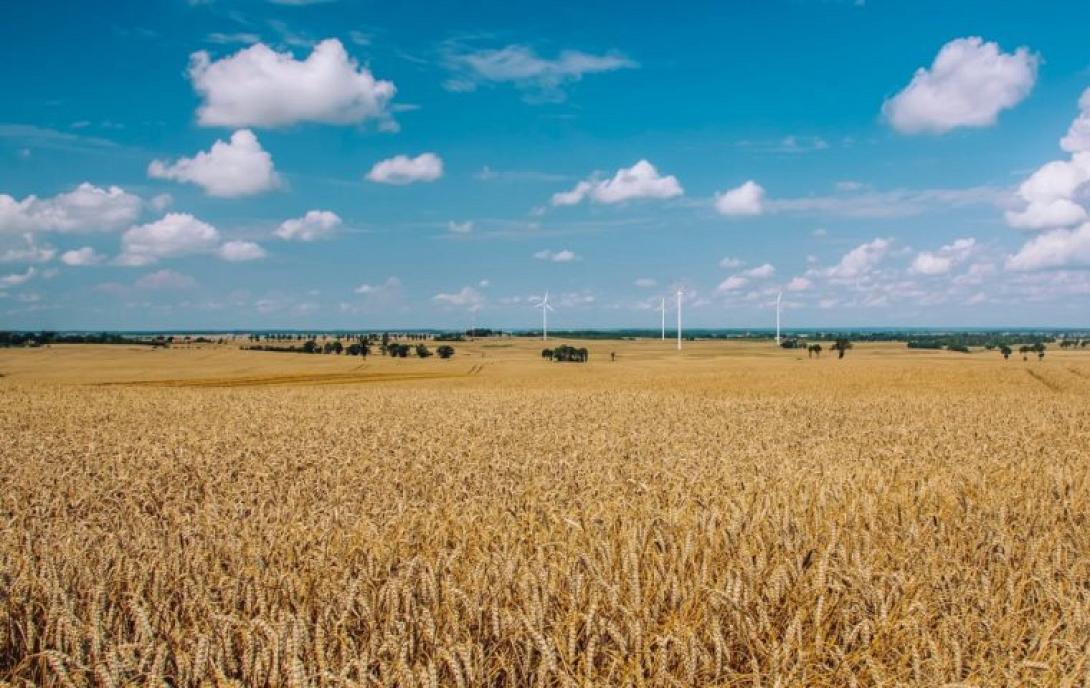 ερημοποίηση εδαφών 