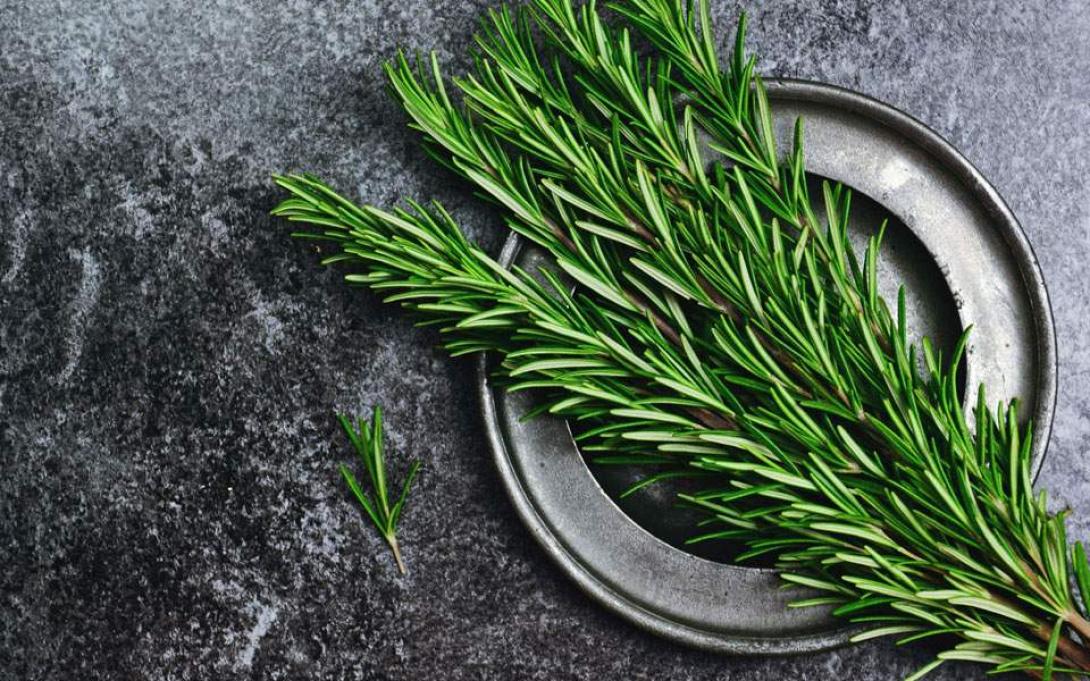 Τα οφέλη στην υγεία, στη διατροφή και στην καθημερινότητα 