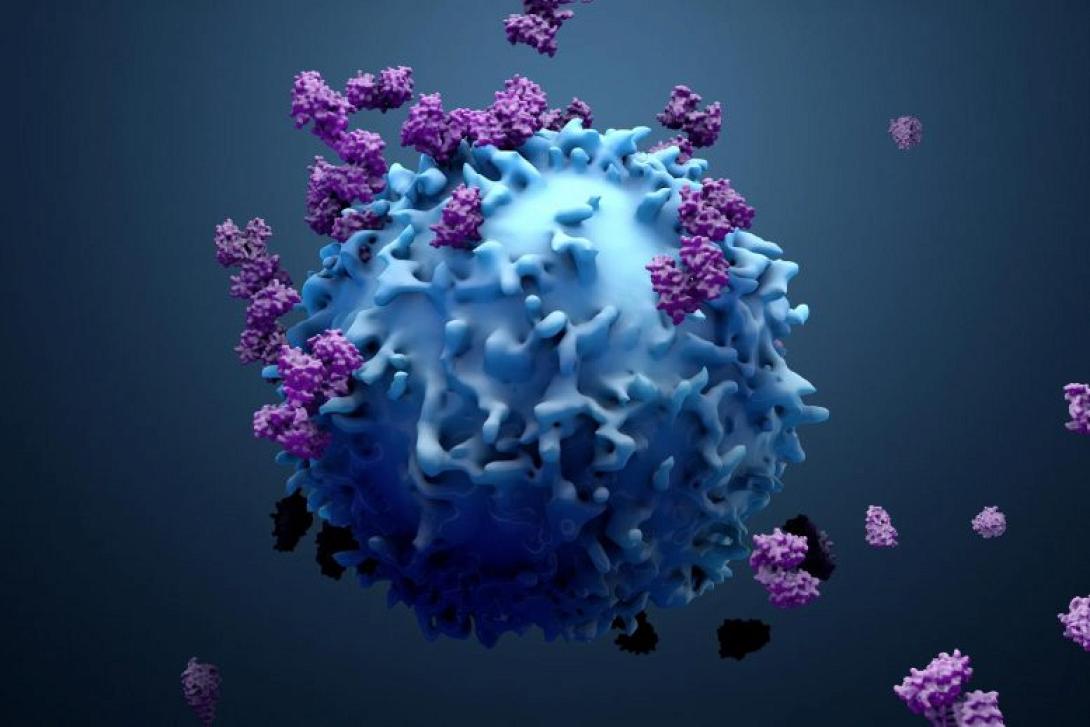 Τα τέσσερα σενάρια για το μέλλον