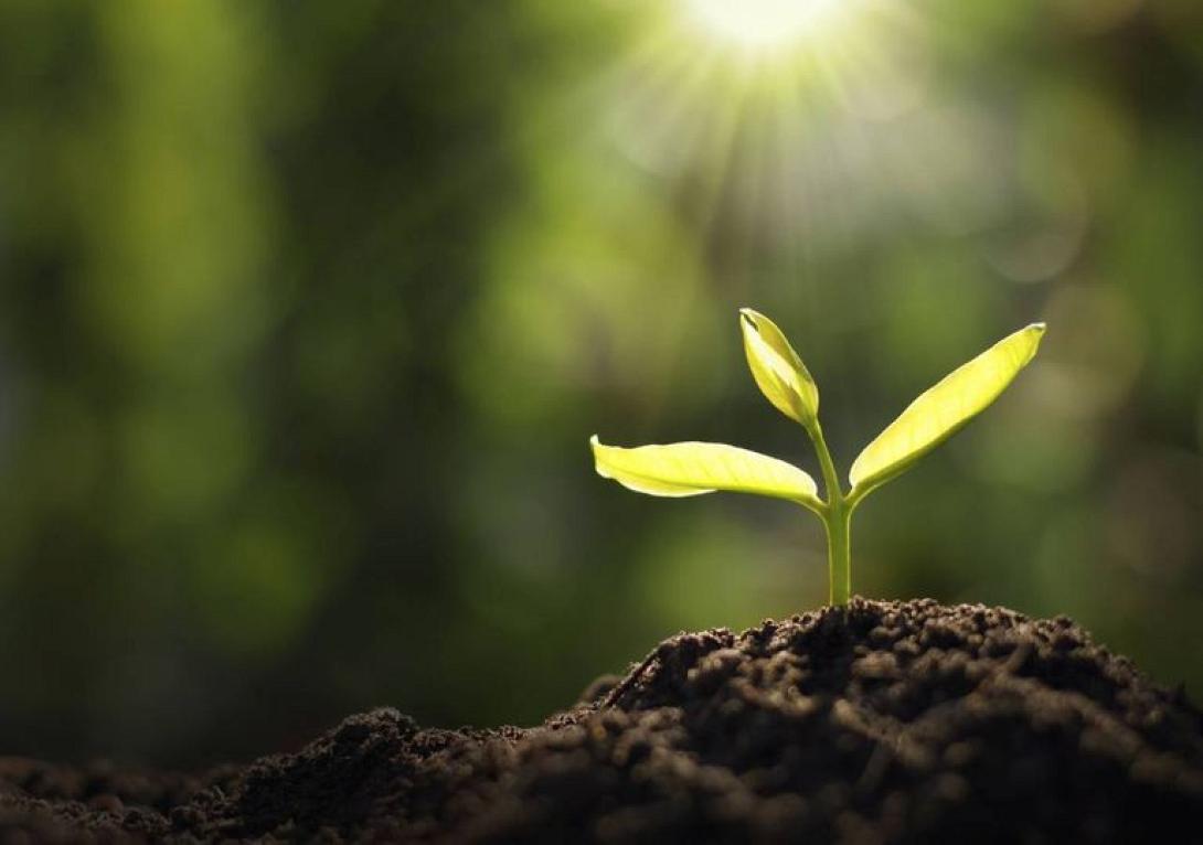 ποια η στρατηγική της ΕΕ