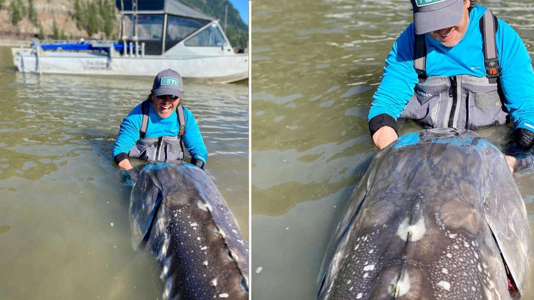 ΨΑΡΙ ΔΕΙΝΟΣΑΥΡΟΣ