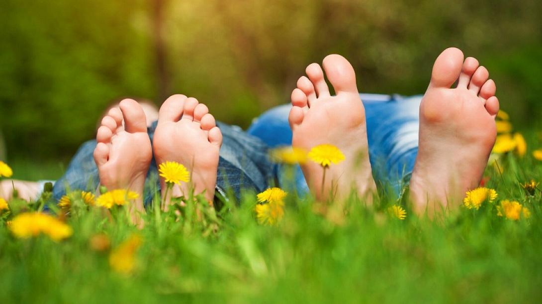 γείωση, πόδια, λουλούδια