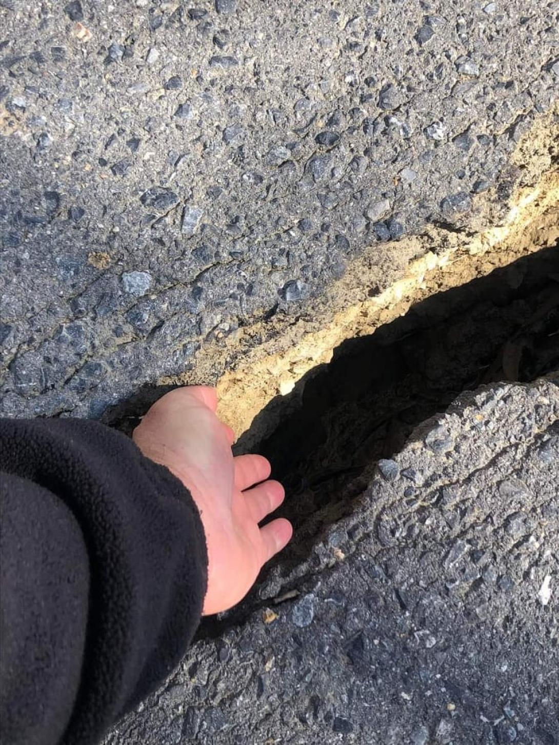 δρομος - ψαρη φοράδα