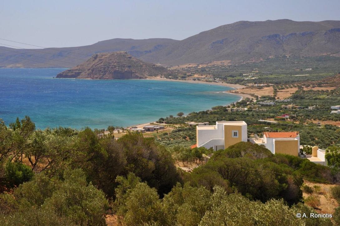 Κουρεμένος