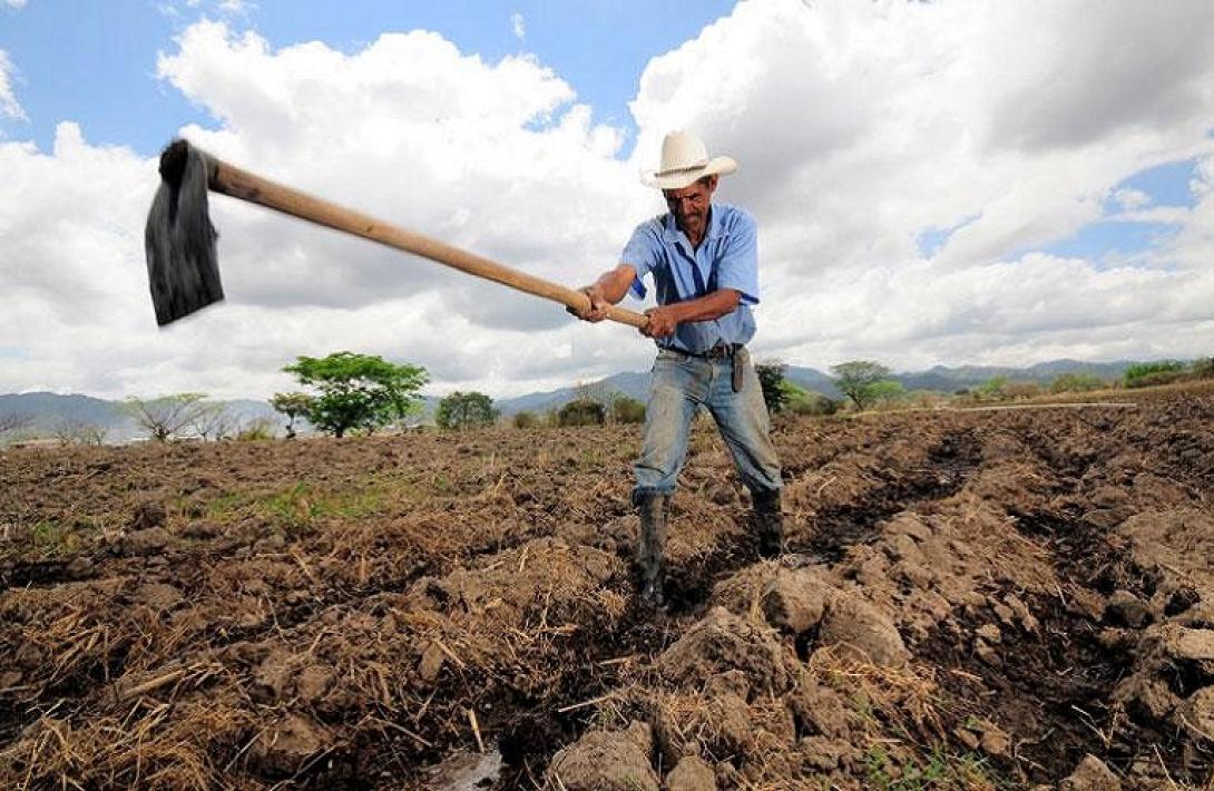 εργάτης γης
