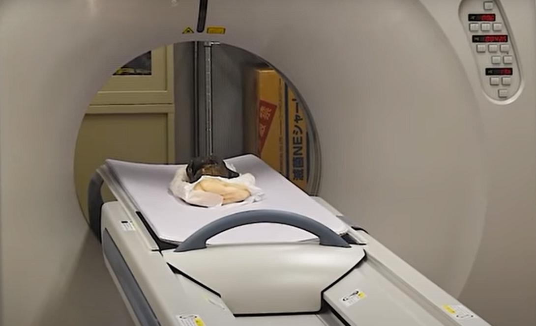 γοργόνα, μούμια, 300 ετών, μυστήριο