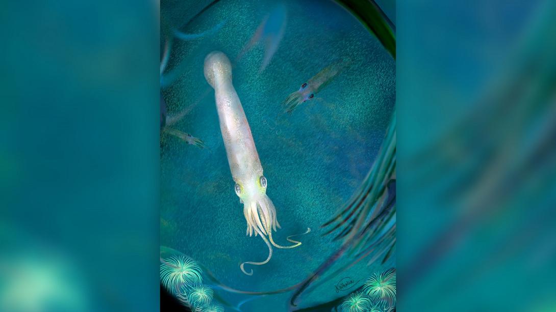 κεφαλόποδο