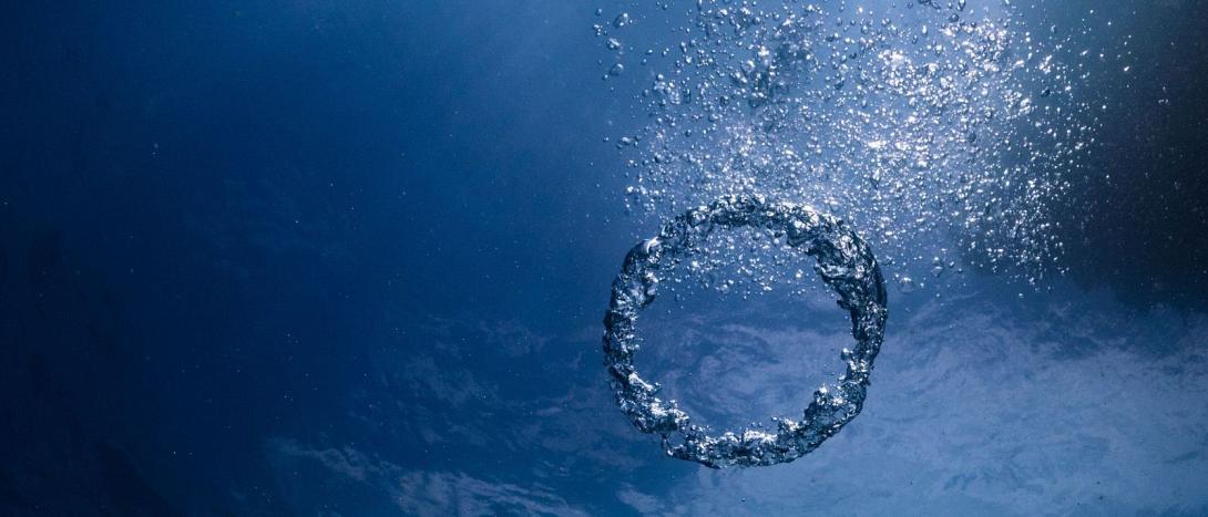 Εκδήλωση στο Ενυδρείο Κρήτης από την Περιφέρεια Κρήτης 