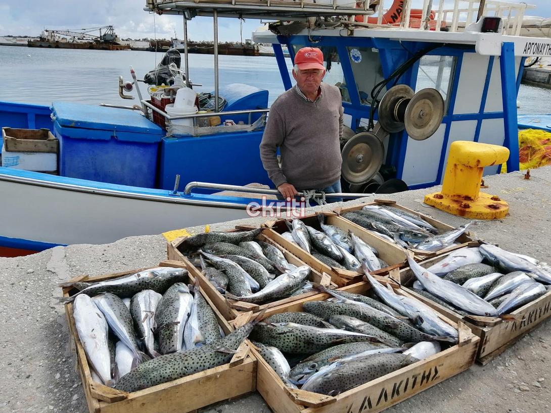 λαγοκέφαλοι ιεράπετρα