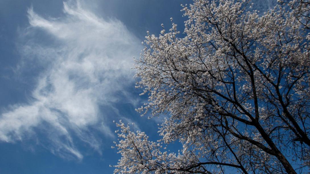αραιή συννεφιά