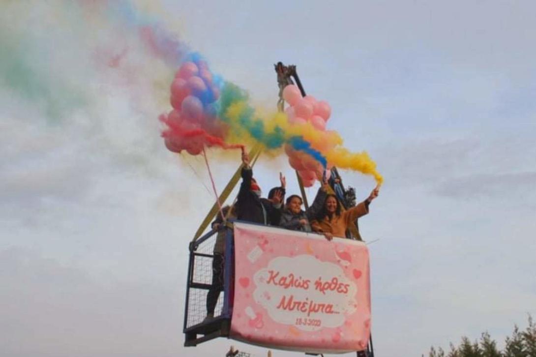 μωρό γερανός