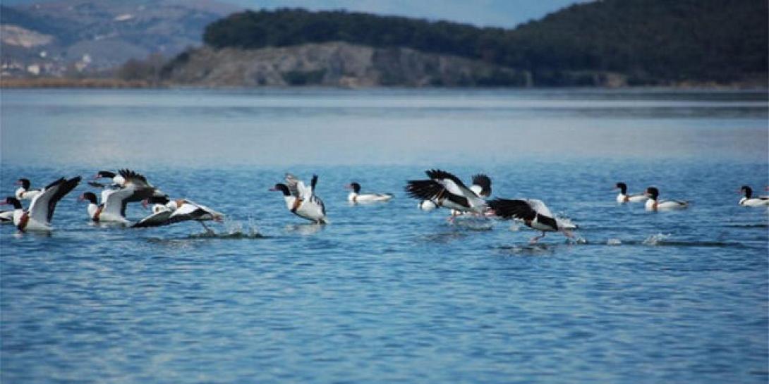 Νέο κρούσμα στην Κοζάνη 