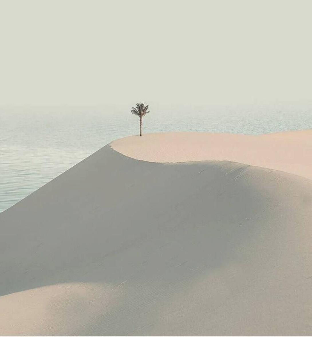 Karim Arm - ερημος