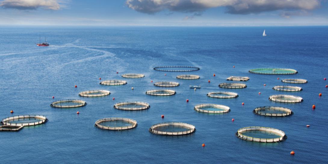 Μέτρα στήριξης για αλιεία και υδατοκαλλιέργεια 