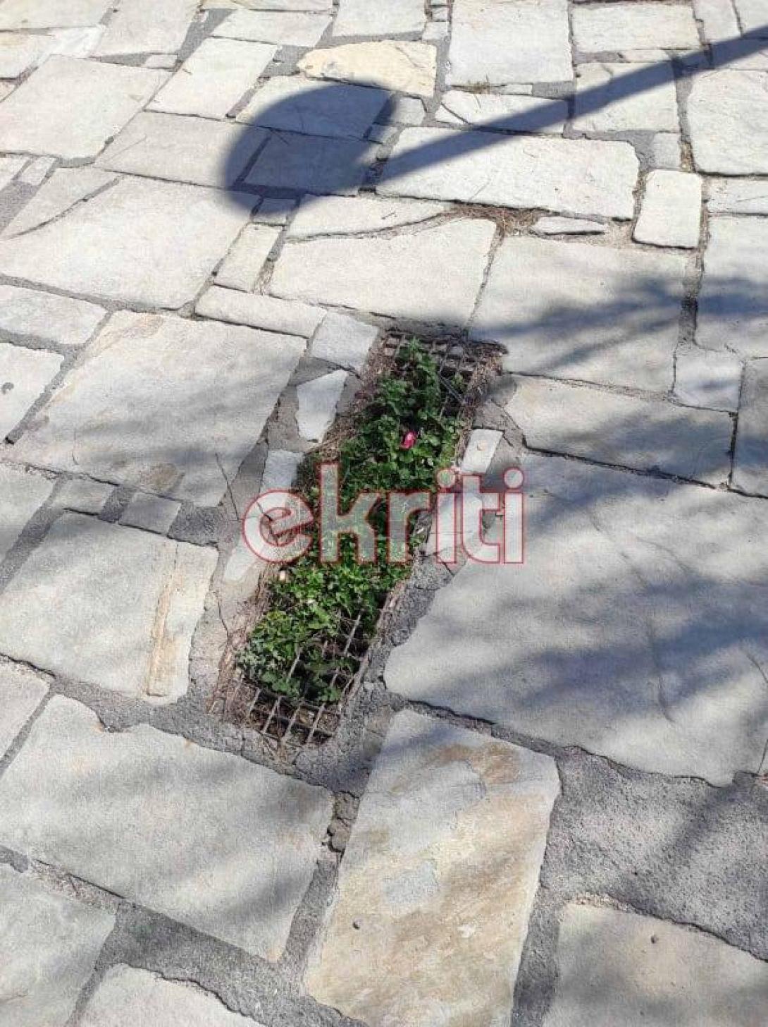 φρεάτιο καράβολας