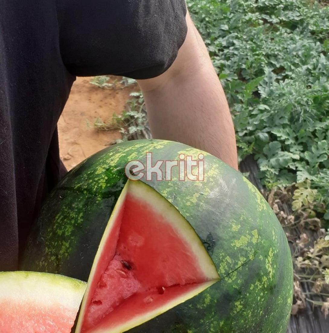 καρπούζια τυμπάκι