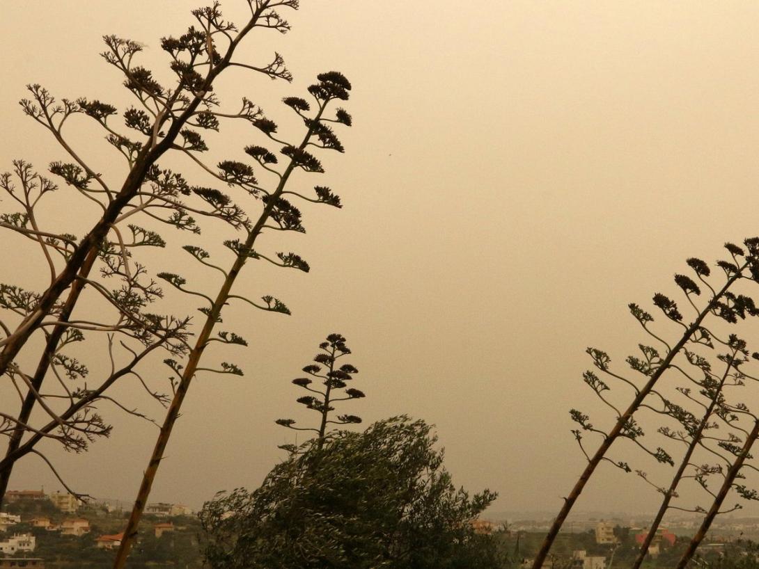 ΑΦΡΙΚΑΝΙΚΗ ΣΚΟΝΗ