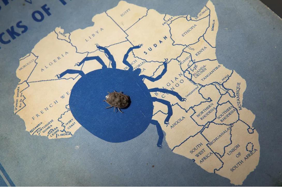 Η ιστορία των τσιμπουριών που έζησαν οχτώ χρόνια χωρίς τροφή 