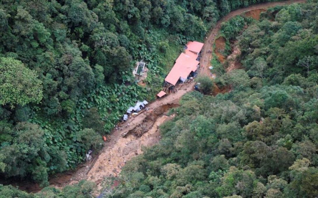 χειμμαρος - Κολομβια