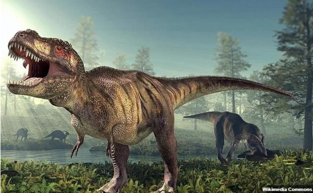 ΤΥΡΑΝΝΟΣΑΥΡΟΣ