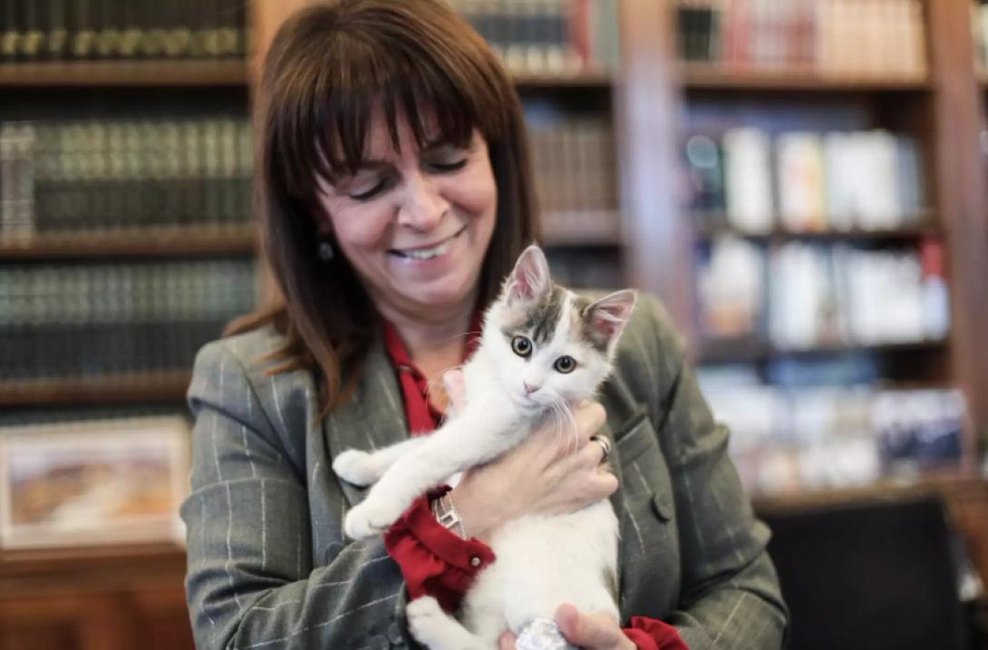 σακελλαροπουλου με καλυψω