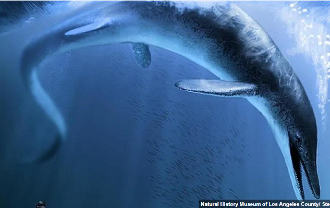 ιχθυοσαυρος