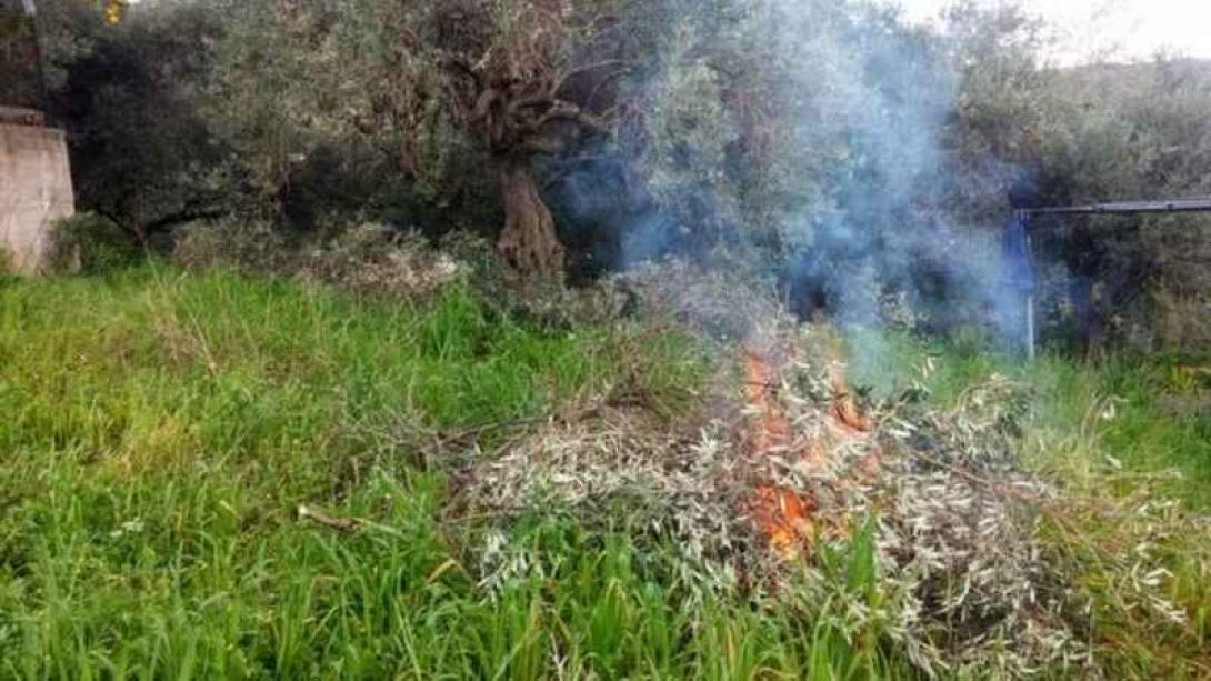 φωτιά κλαδιά