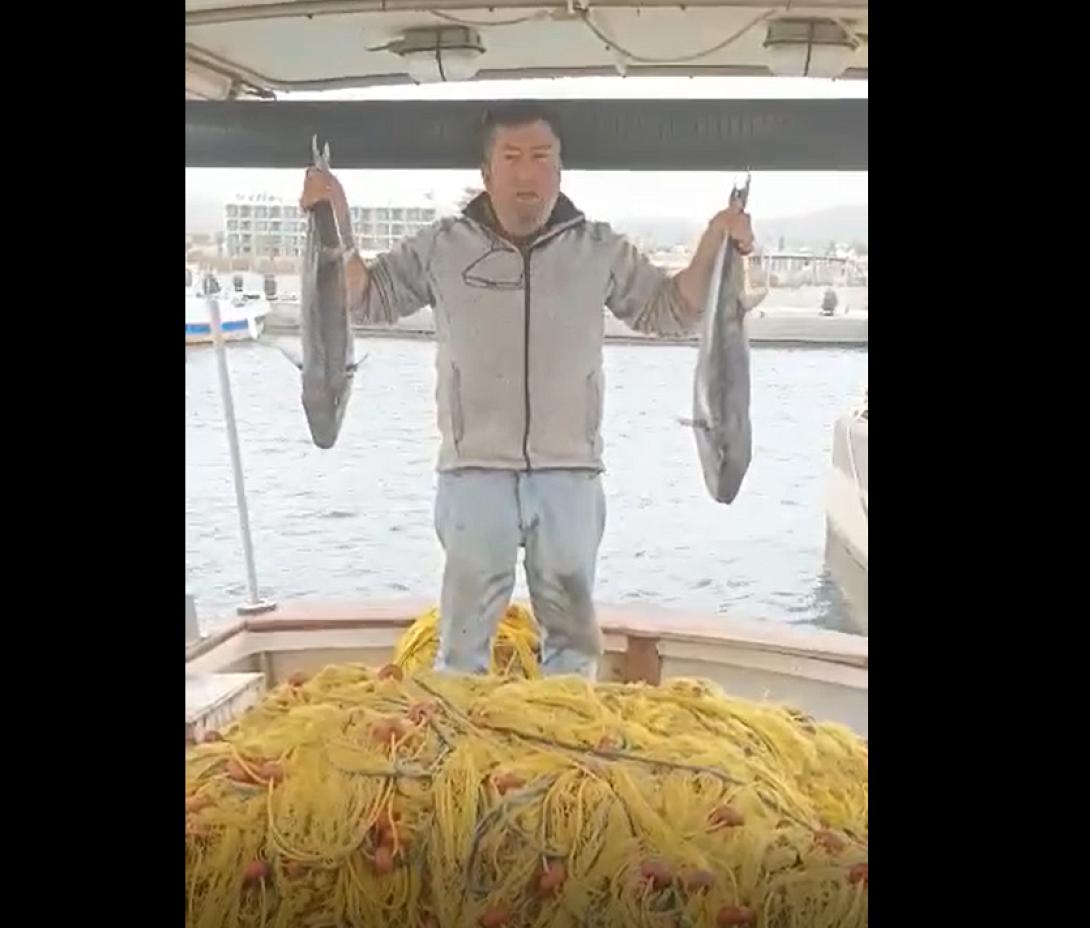 λαγοκέφαλοι μαντζαράκης