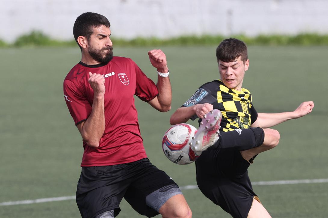 ΜΙΝΩΙΚΗ-ΑΝΘΕΣΤΙΩΝ