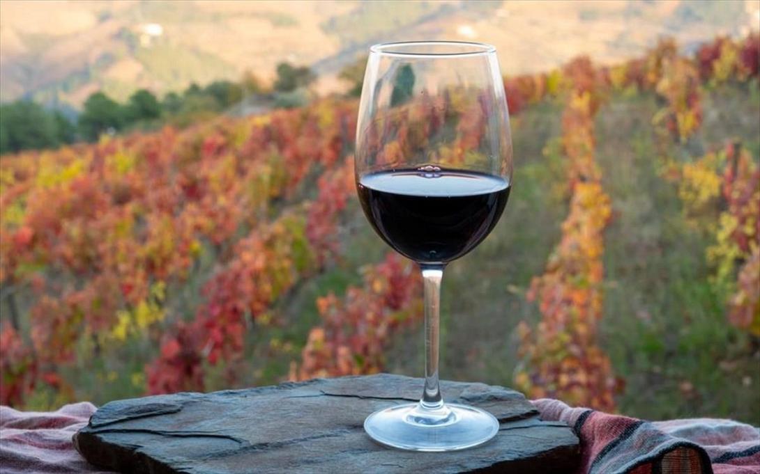 Στη Νορβηγία φτιάχνουν κρασί