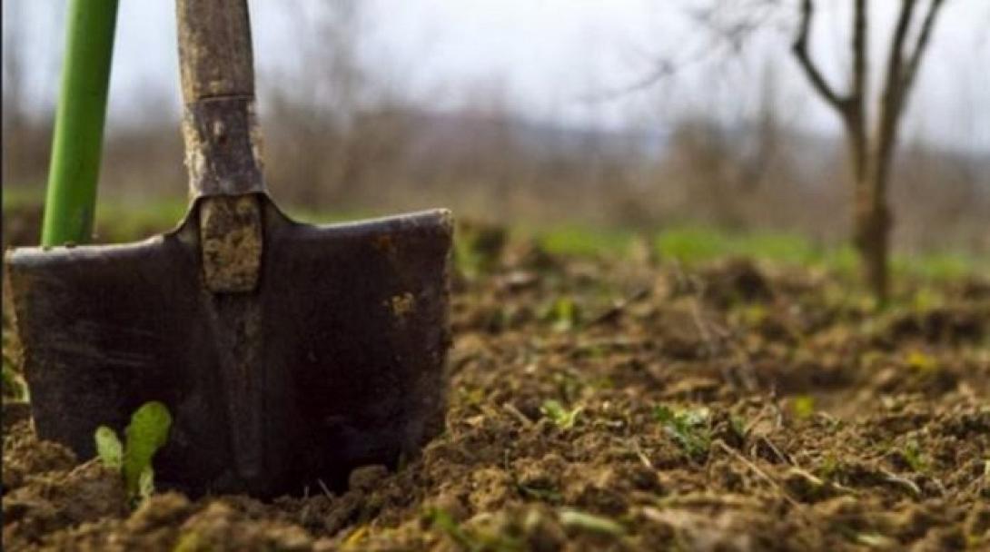 κλοπή χωράφι