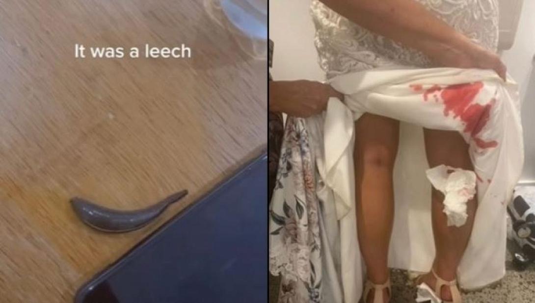 βδέλα - γάμος