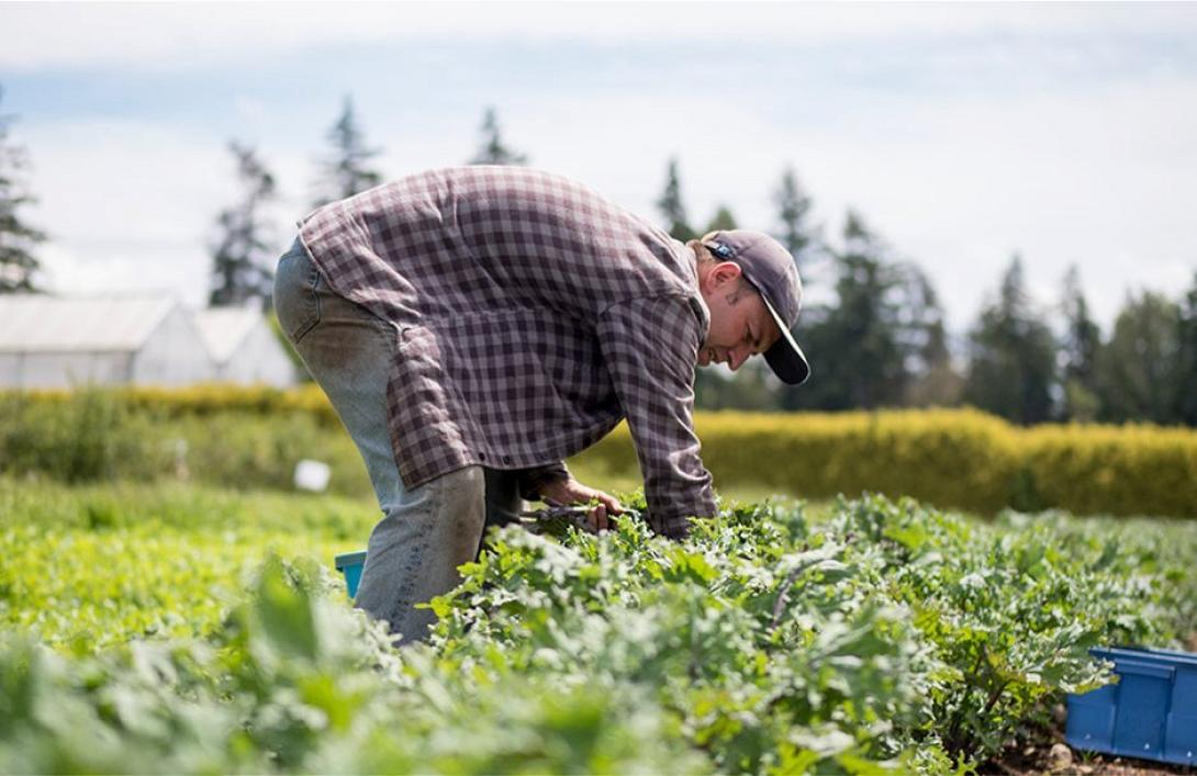 Ποιους αφορά το νέο πρόγραμμα κατάρτισης 